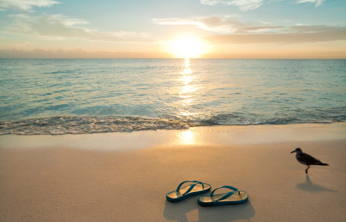 Sunrise On Flip-flops And Bird On The Beach.