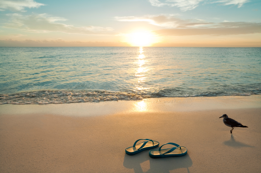 flip flops on the beach images